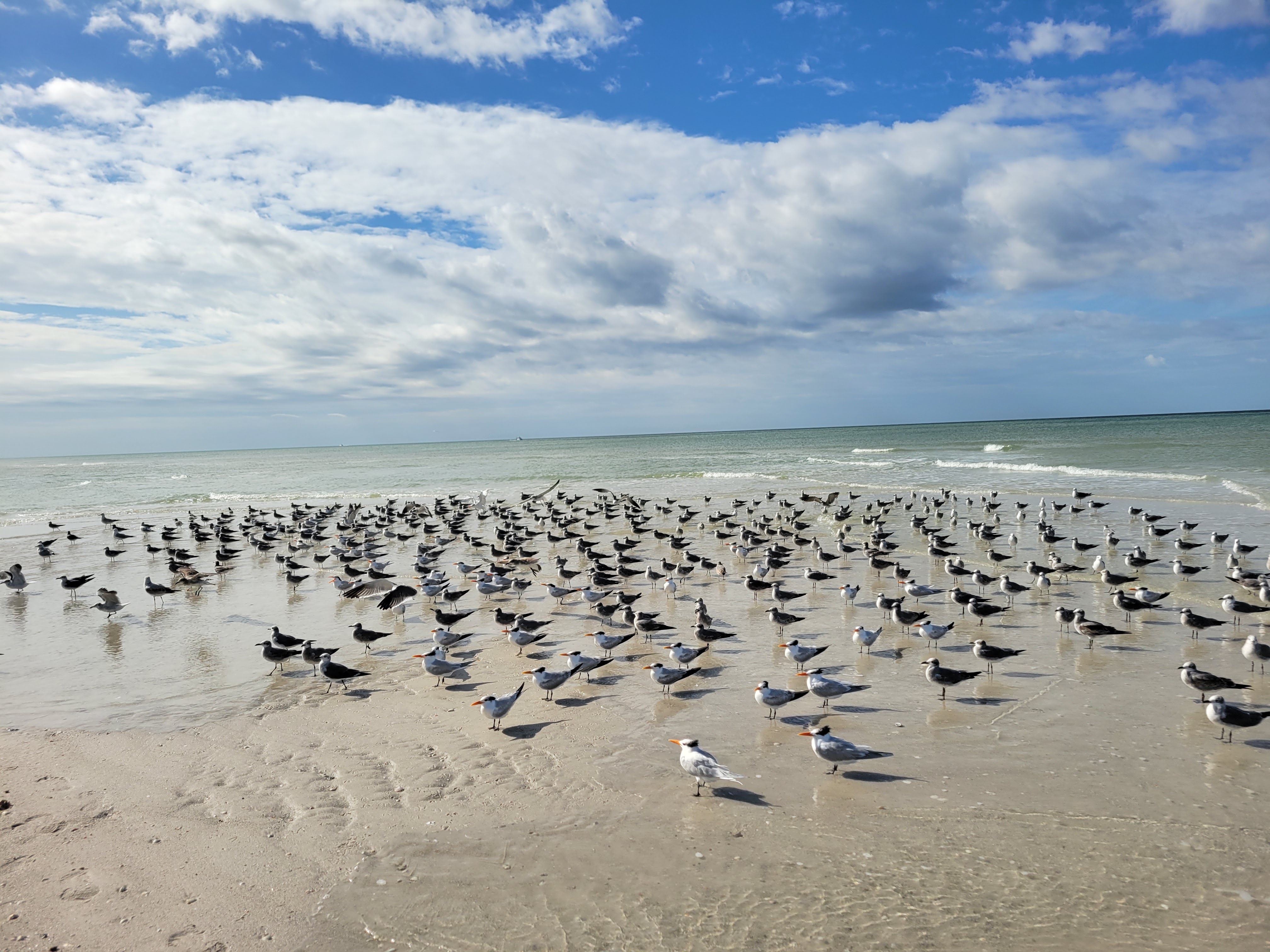 Lowdermilk Park 照片 2